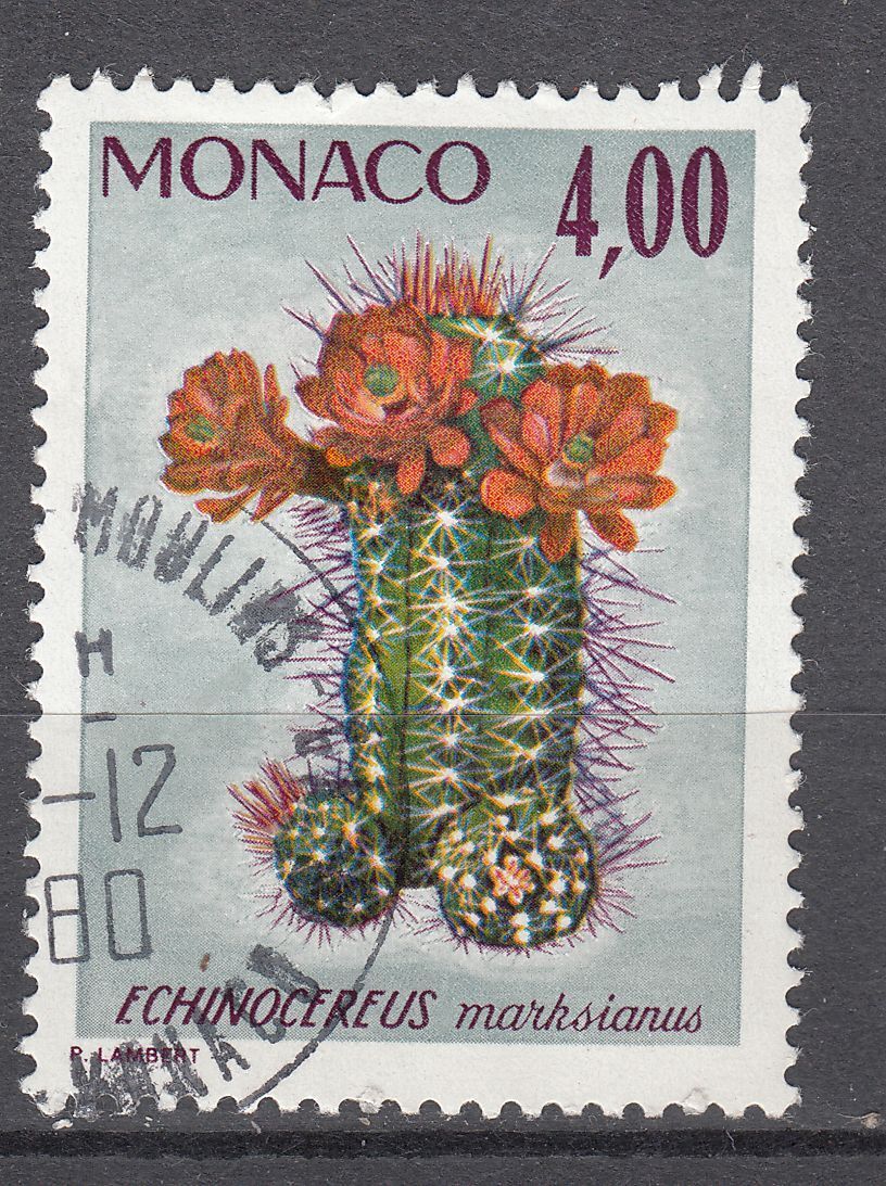 TIMBRE MONACO OBL N 1002 PLANTE JARDIN EXOTIQUE ECHINOCEREUS MARKSIANUS 123341964599