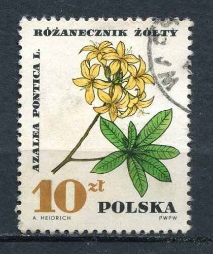 TIMBRE POLSKA PROTECTION DES PLANTES 110635704959