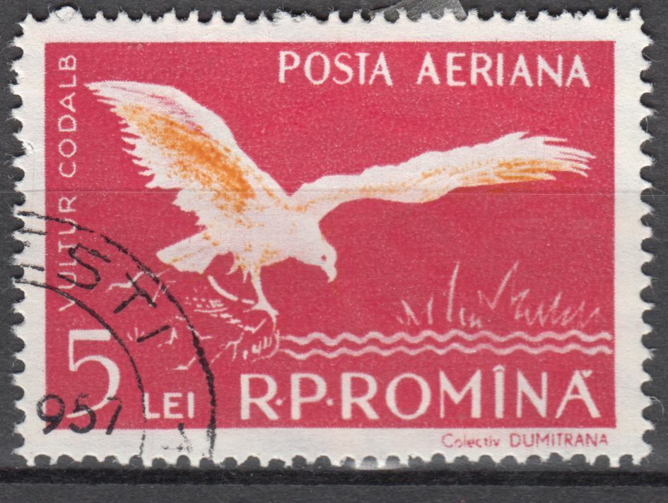 TIMBRE ROUMANIE OBL PA N 74 FAUNE DU DELTA DU DANUBE PYGARGUE 124016195149